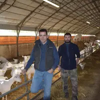 Vincent Pierre et Benoît Branthome ont appris à faire de l’enrubannage et à tenir un planning fourrager pour alimenter leur troupeau. © D. Hardy