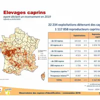 Carte des détenteurs de chèvres © BDNI - Idele