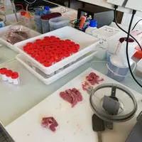 La viande de chevreau a été analysée au laboratoire de Villers-Bocage en Normandie. © J. Normand