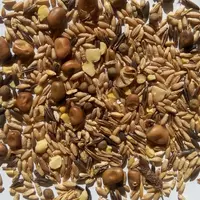 Une application smartphone, en cours de développement, donnerait une indication de la valeur alimentaire d'un méteil à partir d'une simple photo. © J.