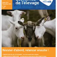 Le dossier économique de l’Institut de l’élevage voit en 2020 une opportunité pour relancer la filière après la crise sanitaire du Covid-19. © GEB - I