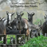 Il était une fois dans l'ouest, la chèvre des fossés © ASP La Chèvre des Fossés