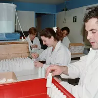 L'étalon pour le comptage des cellules somatiques dans le lait sera le même en France et à l'étranger d'ici la fin d'année. © DR
