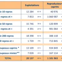 20 137 exploitations détenaient 1 101 963 reproducteurs caprins en 2019. © BDNI 2020/Idele