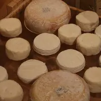 L'AOP chevrotin, fromage exclusivement fermier, affiche une belle progression de 16 % sur l'année écoulée. © B. Morel