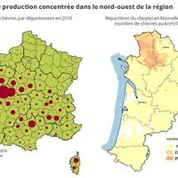 Une zone de production concentrée dans le nord-ouest de la région © Agreste