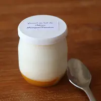Les yaourts au lait de chèvre sont plébiscités mais doivent répondre aux exigences des consommateurs intolérants au lactose. © B. Morel