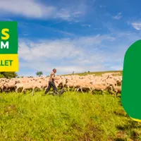 Les questions portent sur l'emballage, l'éthique, l'économie ou l'environnement.  © Vrai