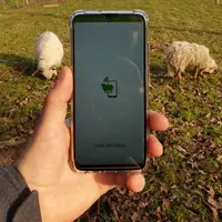 L’application Vigie pâturage permet autant le reporting d’activité que la gestion du cheptel ou la surveillance collaborative. © Animal & cité