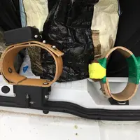 Les boîtiers GPS à l'essai dans les Pyrénées-Atlantiques pèsent autour de 900 grammes, soit l'équivalent d'une grosse cloche. © DR