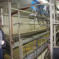 La traite des 200 chèvres en lactation longue nécessite 40 minutes dans la salle de traite de 40 postes en décrochage automatique ligne haute. © V. Ba