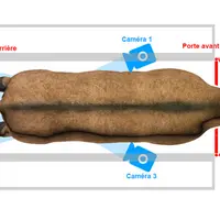 Les quatre capteurs sont  positionnés à l'avant et à l'arrière des mamelles. © 3D Ouest