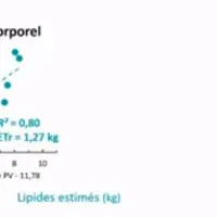 La note d’état corporel est assez bien corrélée à la quantité de lipides mesurés à l’abattage. © Inrae