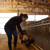 Les salariés sont accompagnés tout au long de la formation. À la fin, un «agridating» permet de se faire rencontrer éleveurs et stagiaires. © CA37