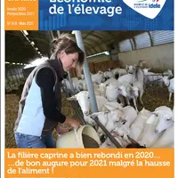 Le dossier à télécharger revient en chiffres, graphes et analyses sur l'année laitière caprine 2020. © Idele