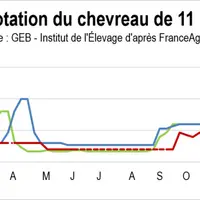 Avec l'effondrement des cours à Pâques 2020, les naisseurs-engraisseurs ont perdu jusqu'à 2,5 % de leurs revenus. © GEB - Institut de l'Elevage