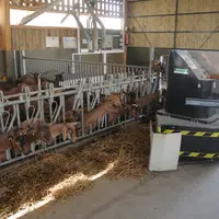 Si la robotisation peut sembler déshumaniser l'élevage, elle laisse aussi à l'éleveur plus de temps pour mieux observer ses animaux.  © A. Villette