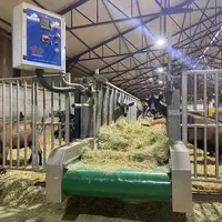Les tapis d'alimentation apportent la ration de foin aux 530 chèvres de l'élevage. © R. Horriot