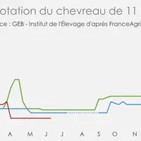 Evolution de la cotation du chevreau de 11 kg. © GEB - Institut de l'Élevage ...