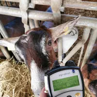 Le boitier de lecture permet de lire sans contact et à distance le numéro d’une puce grâce à l’identification électronique. © I. Durand