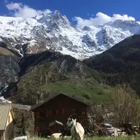 Les chèvres de la ferme des Molières ont une vue privilégiée sur la montagne de la Meije. © C. et M. Gaillard