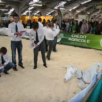 Le concours de pointage se déroulera en deux sessions cette année : une inclue dans la Capr'I Cup et une épreuve de pré-sélection pour le concours nat