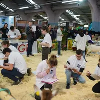 Parmi les épreuves du Capr'I Cup, le pointage permettra aux apprenants de montrer leurs aptitudes à qualifier les reproducteurs.