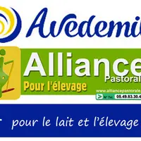 Mariage en l’Alliance Pastorale et Avedemil