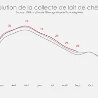 Rattrapage de la collecte de lait de chèvre