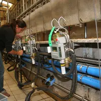 1 565 élevages caprins suivis en 2020 par les entreprises de conseil en élevage, soit 232 915 chèvres.