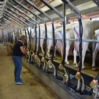 Outre des aides, mises en place tant au plan national qu’au plan local, permettant de réduire le coût d’une embauche, il existe des dispositifs d’allé