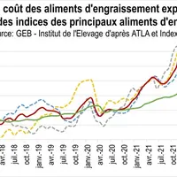 Les engraisseurs de chevreaux très inquiets