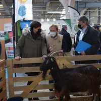 Pour la première fois, l'ensemble des races caprines locales et à petits effectifs étaient rassemblées à Capri'inov en novembre 2021. Une belle vitrin