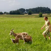 Alida et Edward ont quitté les Pays Bas en 1997 pour voyager, ils élèvent aujourd'hui 90 chèvres au Danemark.