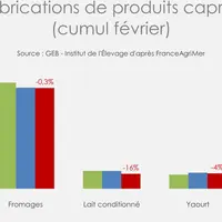 Bûchettes de chèvre en repli, fromages à la coupe en hausse
