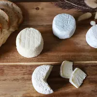 Une légère baisse des fabrications en 2021 pour l'AOP crottin de Chavignol par rapport en 2020, avec 852 t de fromage fabriquées, malgré une hausse de