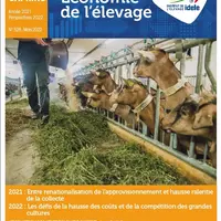 Stagnation générale des revenus en 2021