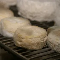 Le Mucor, ou poil de chat, recouvre les fromages lactiques d'un duvet plus ou moins long, dont les filaments portent un sac de spores noires à leurs e