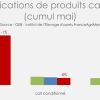 Fabrications de produits caprins. En prévision d’une collecte qui s’annonce morose, les transformateurs ont privilégié la reconstitution des stocks de