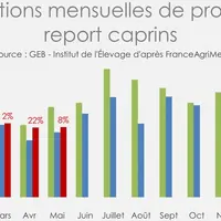 Importations mensuelles de produits de report caprins
