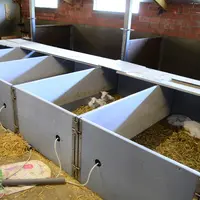 Les chevreaux sont dans un bâtiment séparé.