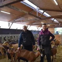 L'isolation de la chèvrerie en 2018 et l'installation de translucides perforés ont permis d'améliorer l'ambiance pour les chèvres et les associés de l