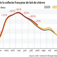 Hausse de la production laitière caprine