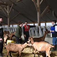 La production caprine attire les jeunes, les femmes comme les hommes, ce qui en fait une exception dans le monde agricole et explique en partie le bon