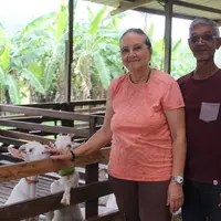 « On a un confort de travail, la ferme tourne, fait part Odile Robin, aux côtés de son mari Bob. On se dégage largement un Smic chacun. »