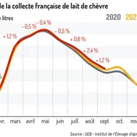 La production laitière maintient son dynamisme