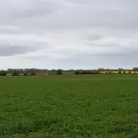 Assurer une production de fourrage de qualité et en quantité suffisante devient un défi de plus en plus difficile à relever au fil des années. Des tra