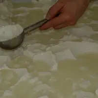 L’acidité Dornic doit se raisonner en gain d’acidité et il faut modifier ses repères en fonction de l’acidité initiale de son lait.