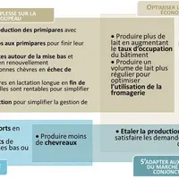 Diversité des objectifs visés par les éleveurs intégrant des lactations longues dans leur élevage.