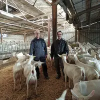 Le choix de conduite en lactation longue fait par Xavier et Didier Gois a permis d'augmenter la production laitière et d'améliorer l'élevage des chevr